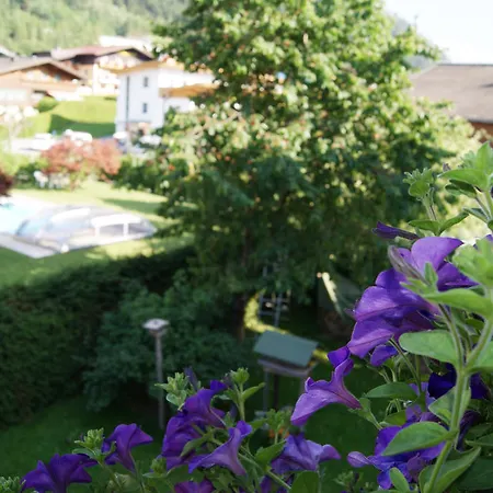 Hartsleben 플라차우