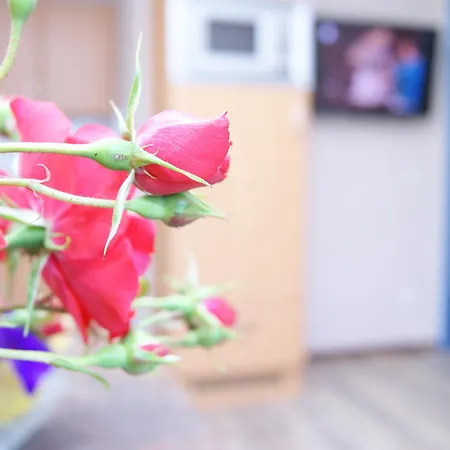 Hartsleben 플라차우